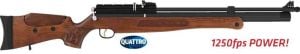 Hatsan BT65 RB W PCP Havalı Tüfek