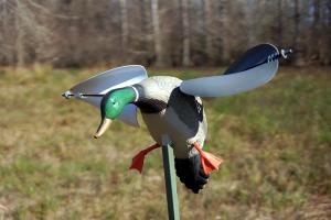 Mojo Wind Duck Rüzgarlı Ördek Mühresi