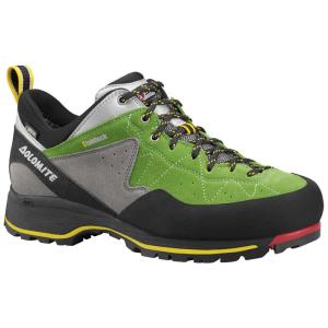 Dolomite Steinbock Low GTX Trekking Erkek Ayakkabı