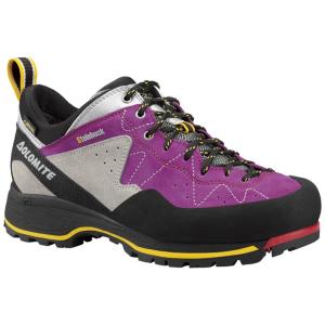 Dolomite Steinbock Low GTX Trekking Erkek Ayakkabı
