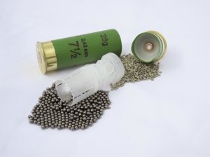 RC 12/28 gr.Romagnola Av Fişeği